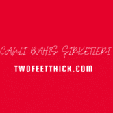 Canlı Bahis Şirketleri